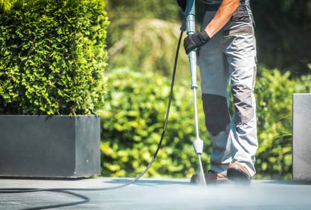 Best Soft Washing  in St Louis Park, MN