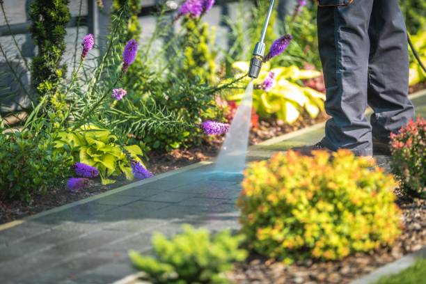 Best Winterizing Services  in St Louis Park, MN