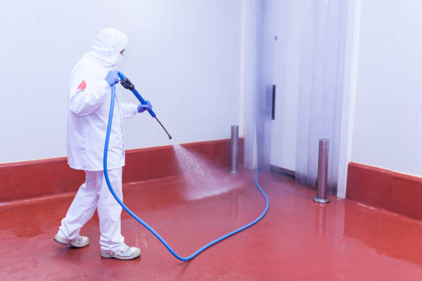 Best Graffiti Removal  in St Louis Park, MN