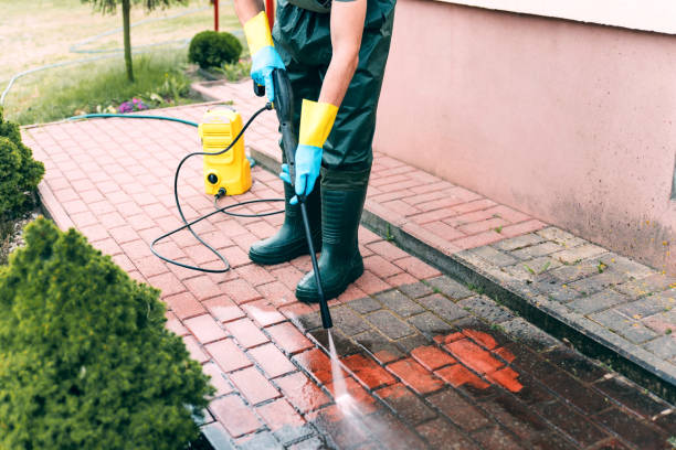 Paint Preparation in St Louis Park, MN